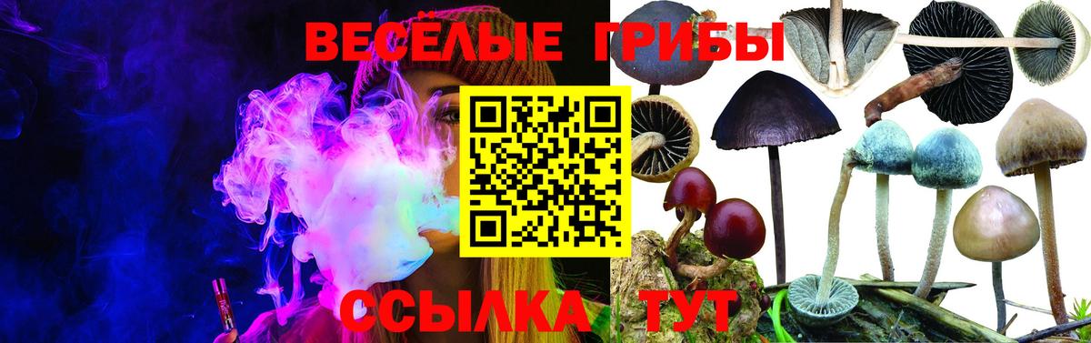 Галлюциногенные грибы MAGIC MUSHROOMS Михайловск